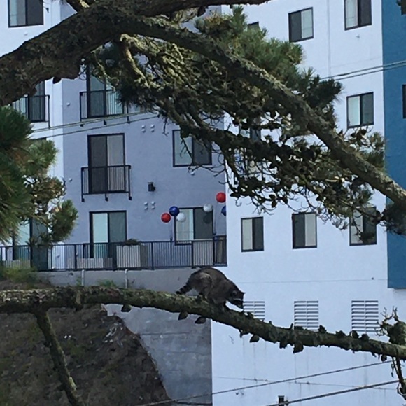 Meet your Posher, Sophia mia - Picture 1 of 1